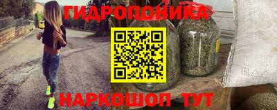 гидра Кингисепп