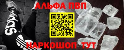гидра Кингисепп