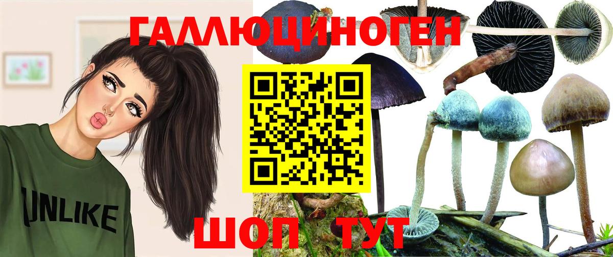 Псилоцибиновые грибы мухоморы Кудымкар